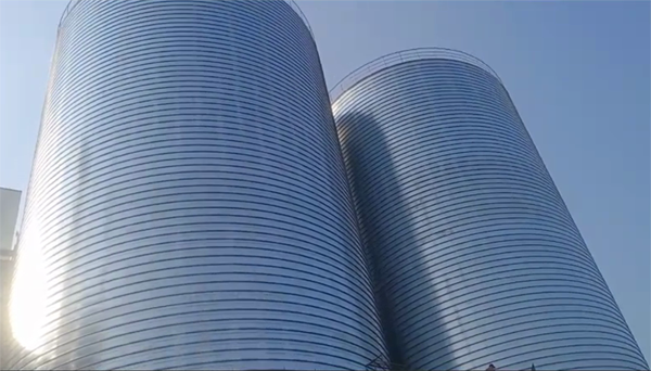 米林2座混凝土高架卷板仓